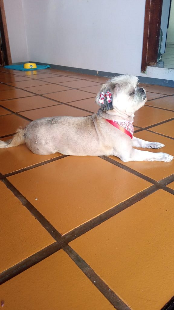 Mel desapareceu no Nova Cidade