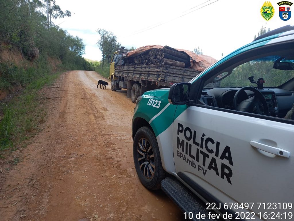 Polícia Militar apreende caminhão que transportava madeira nativa em Tijucas do Sul