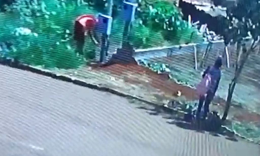 Imagens flagram crime de furto de fios no Belmonte