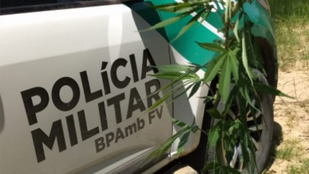 Polícia Ambiental detém indivíduo por tráfico de drogas e porte ilegal de arma