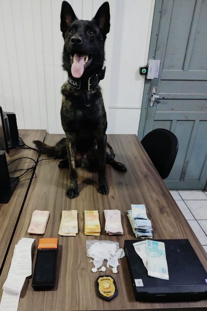 Polícia Civil faz ação de repressão ao tráfico de drogas.em Itajaí