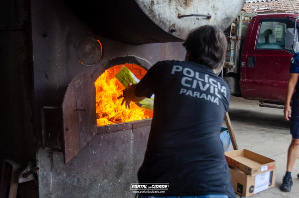PCPR incinera 150 quilos de drogas em Guaratuba