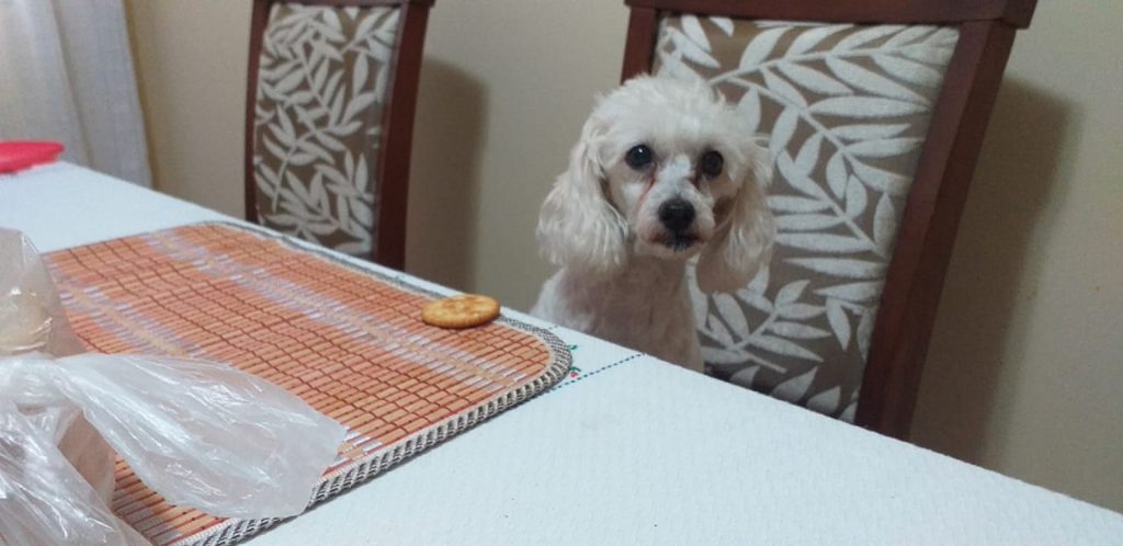 Lupita sumiu no Maria Luiza