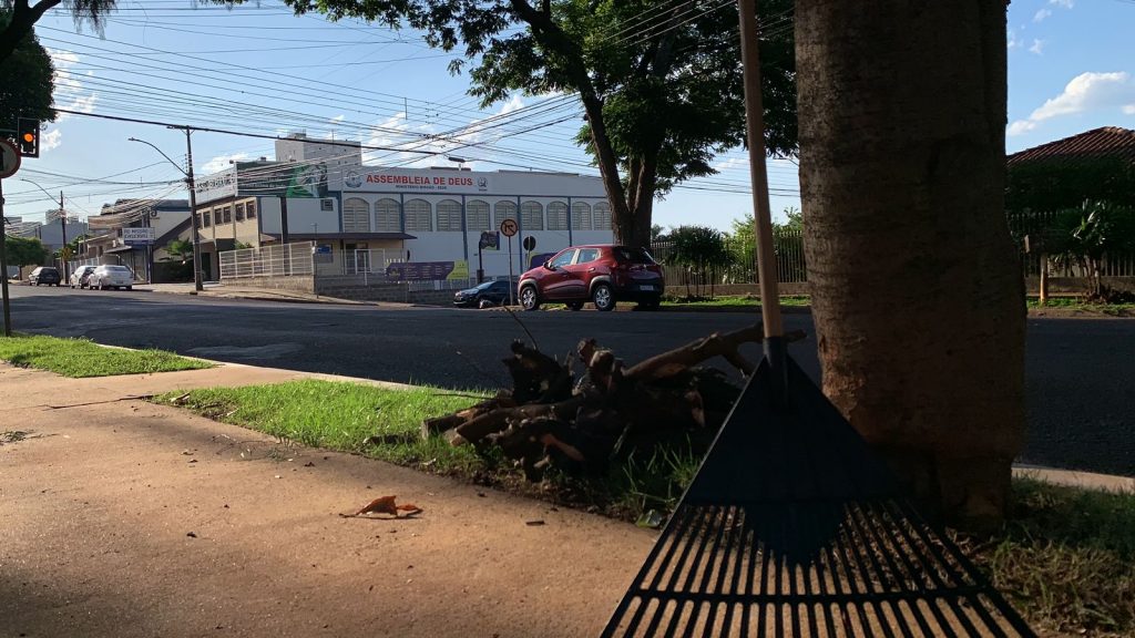 Árvores são podadas na tentativa de evitar colisões de trânsito no Centro