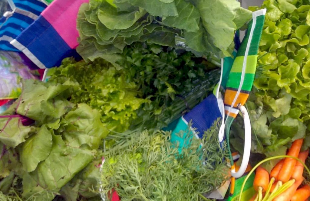 Projeto Sacolas Camponesas realiza primeira entrega de produtos em 2022 Projeto Sacolas Camponesas realiza primeira entrega de produtos em 2022