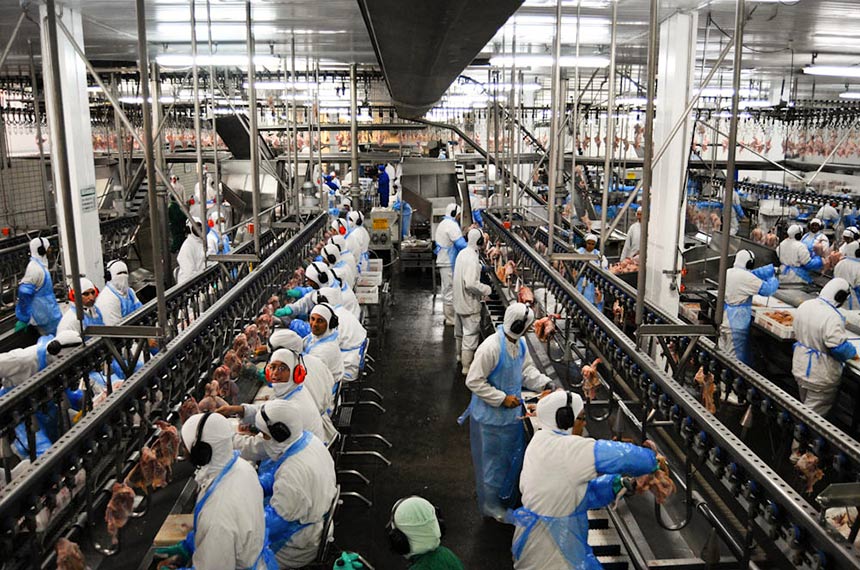 Participação de trabalhador em gestão de grande empresa está na pauta da CAS Imagem referente a Participação de trabalhador em gestão de grande empresa está na pauta da CAS
