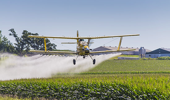 Mantida suspensão de pulverização de agrotóxicos em propriedade rural de Nova Santa Rita (RS)