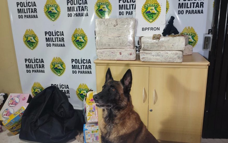 Com ajuda de cães do BPFron, mulher é presa em posse de arma de fogo e 25 Kg de maconha