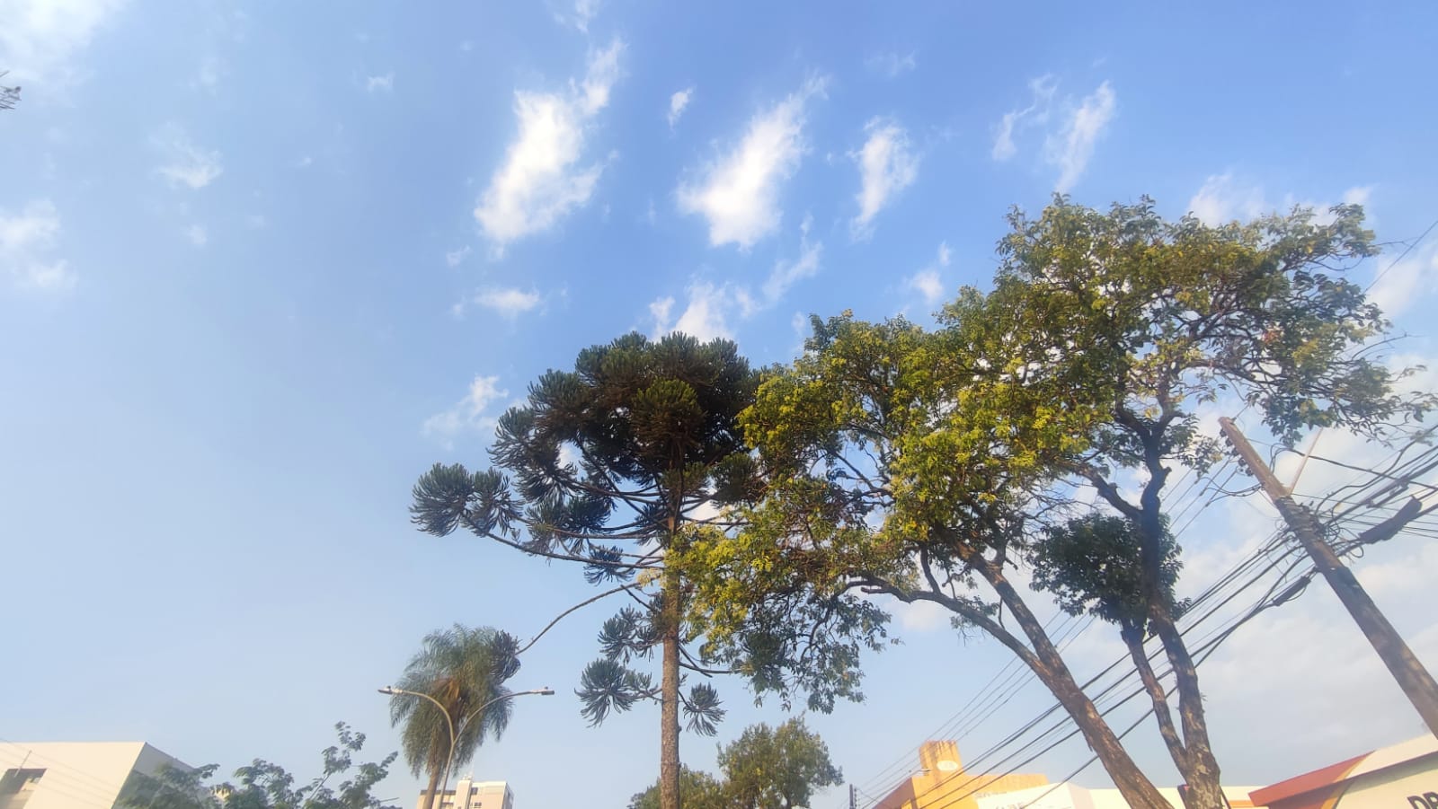 Dia deve ser quente, porém com previsão de pancadas de chuva