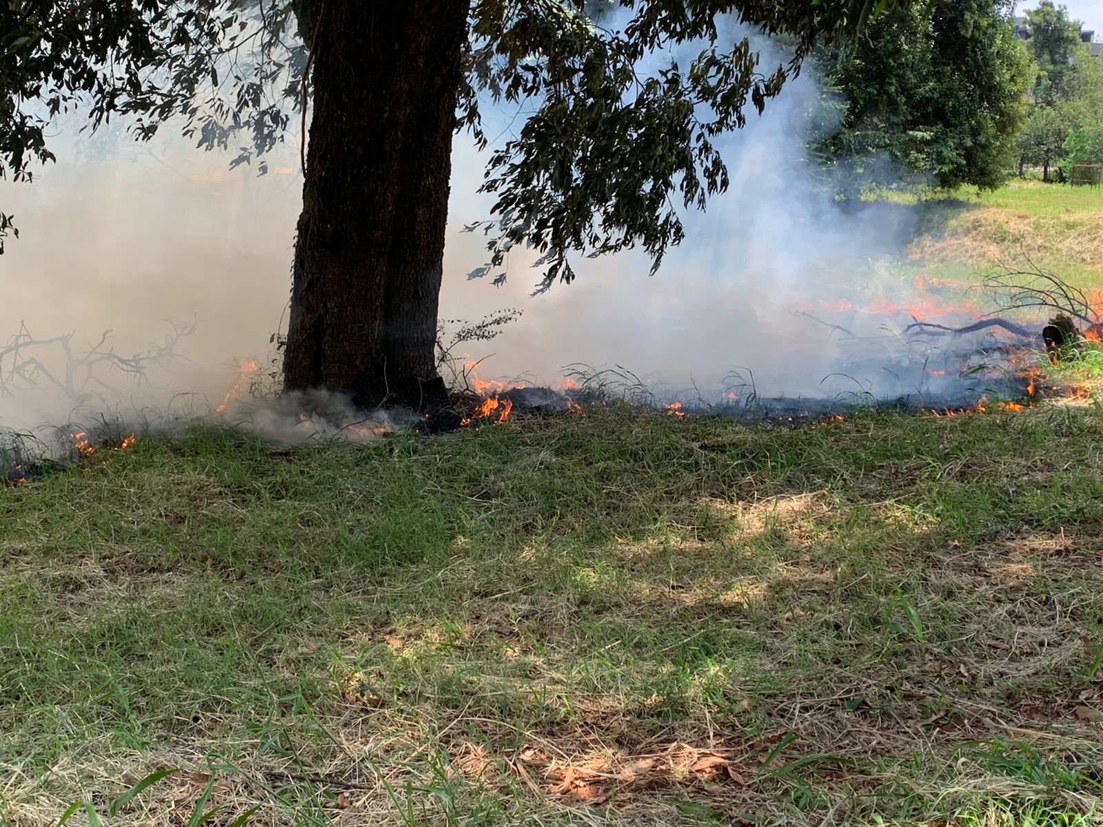 Corpo de Bombeiros é acionado para apagar incêndio