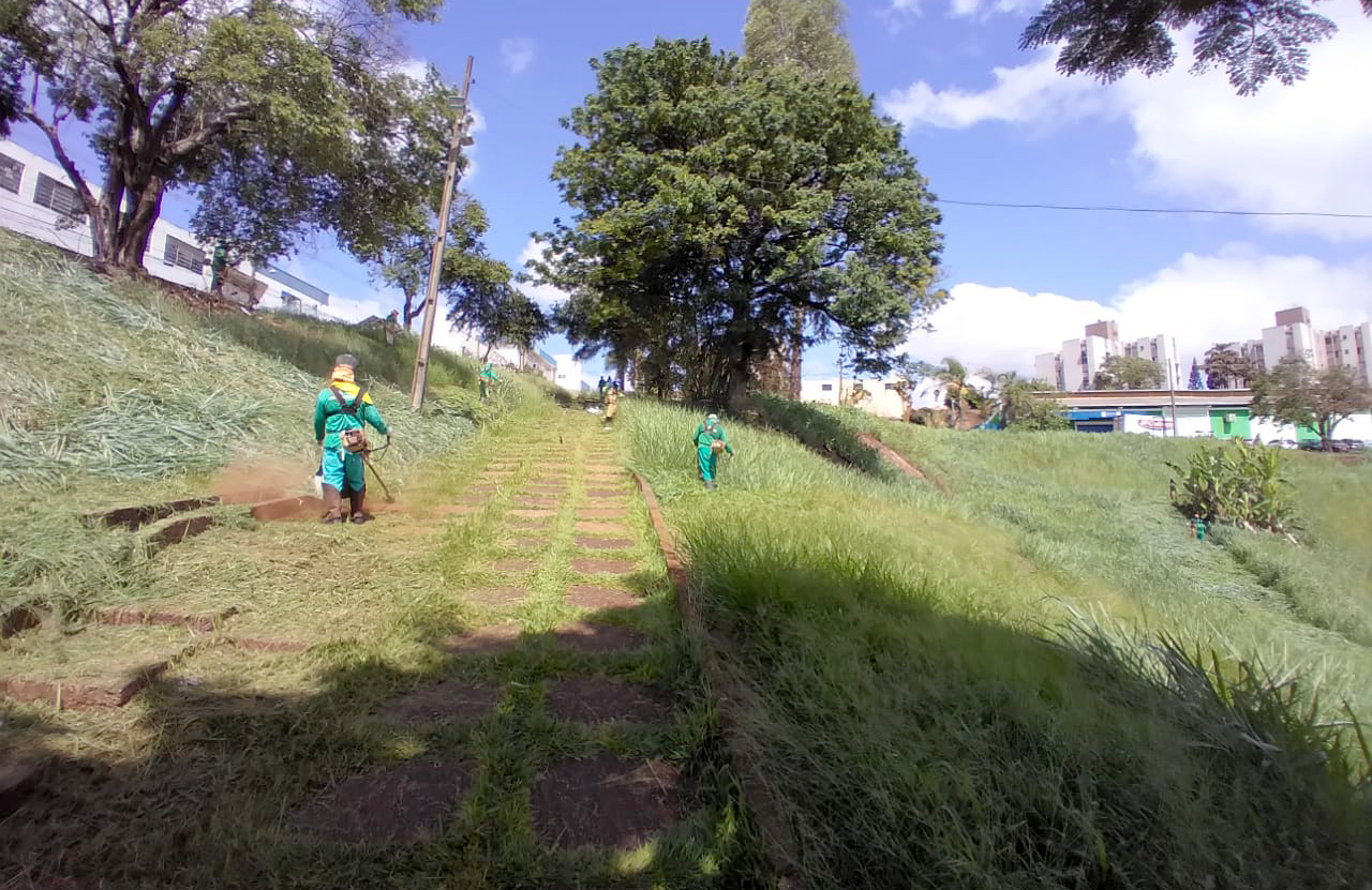 Serviço de capina atende 17 bairros nesta semana em Londrina Serviço de capina atende 17 bairros nesta semana em Londrina