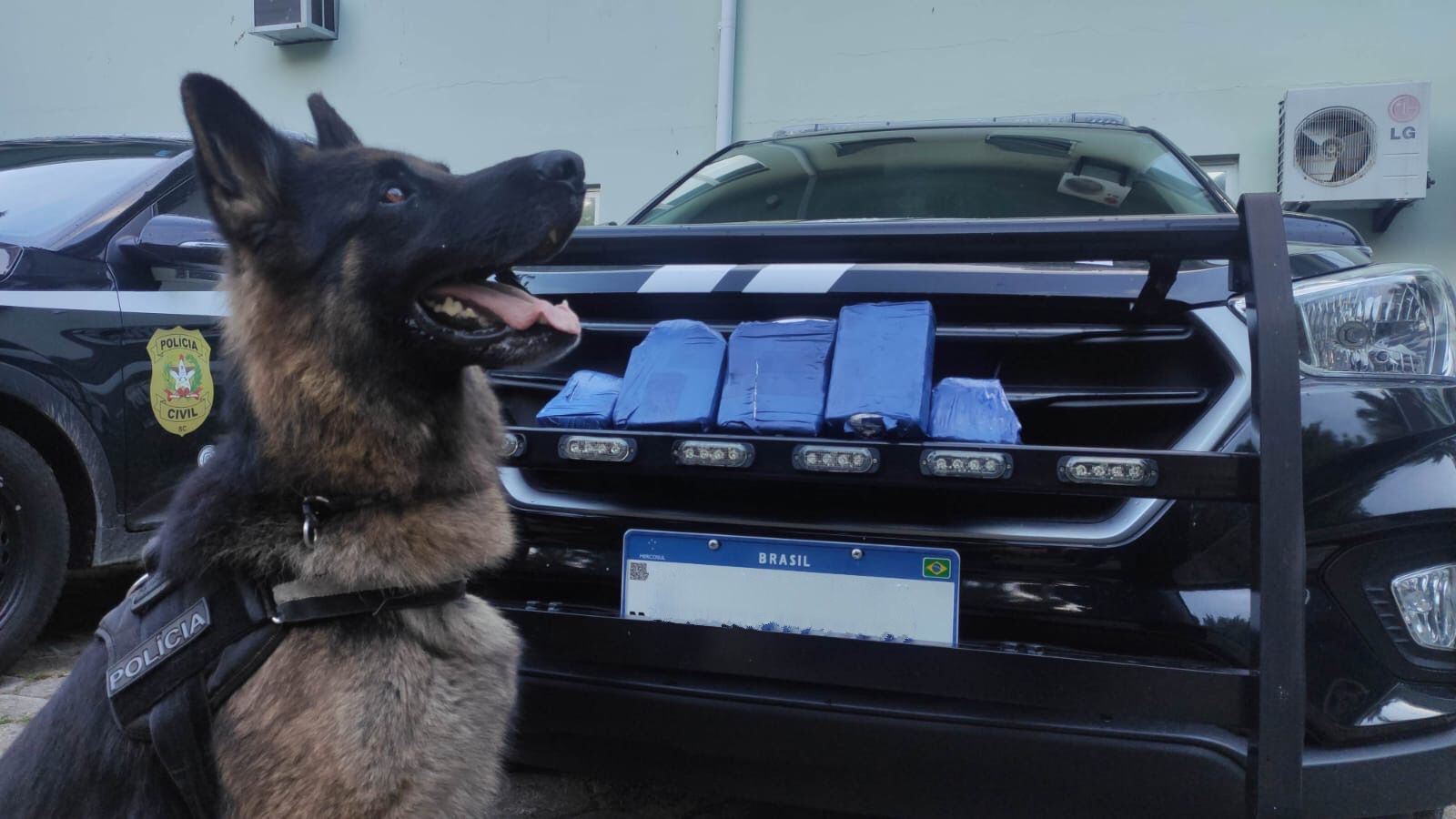 Polícia Civil apreende drogas no terminal rodoviário de Florianópolis