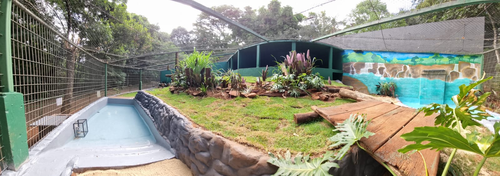 Tigre Hu ganha nova casa no Zoo de Cascavel