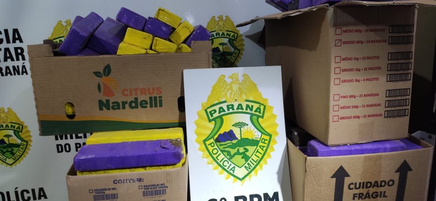 Polícia de Lindoeste apreende 90 quilos de maconha após denúncia de tráfico