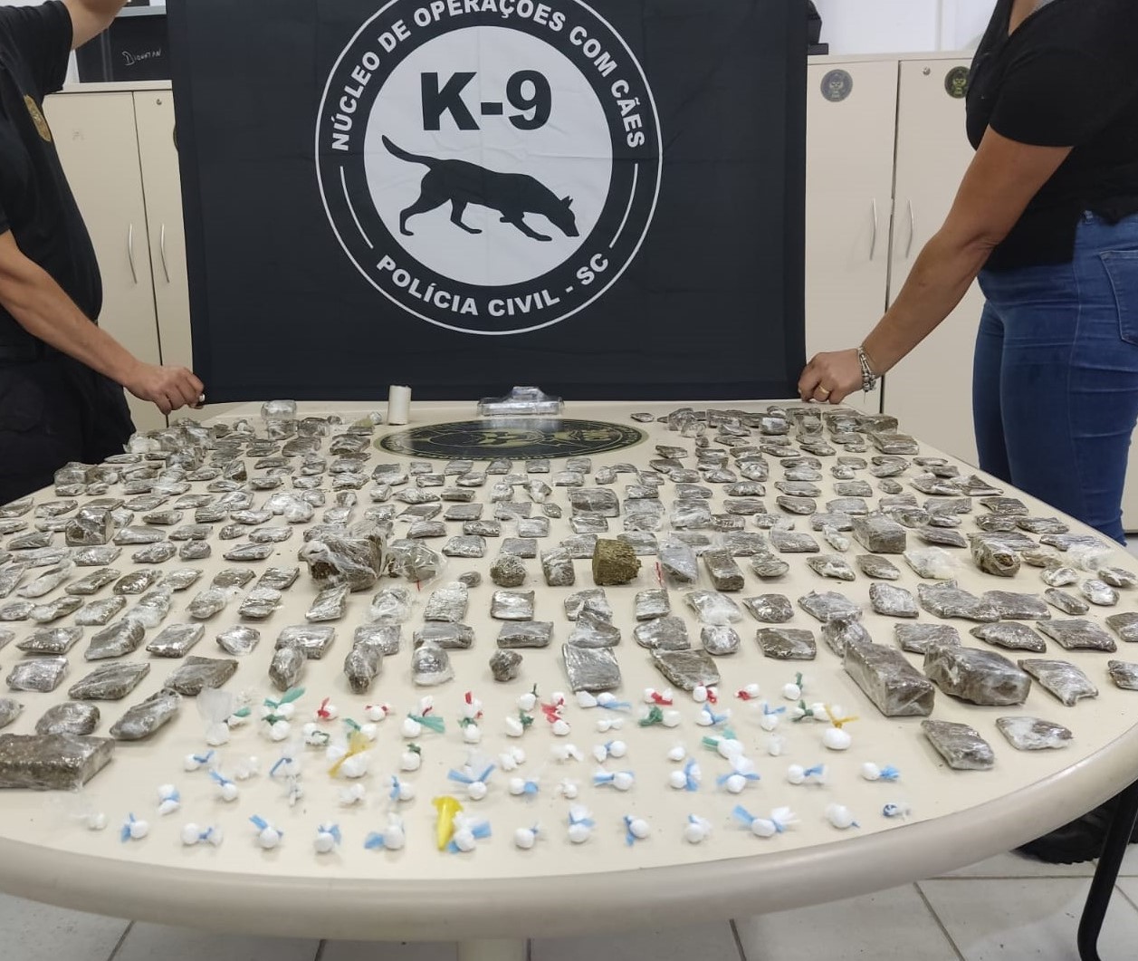 Operação com cães da Polícia Civil apreende drogas em Florianópolis