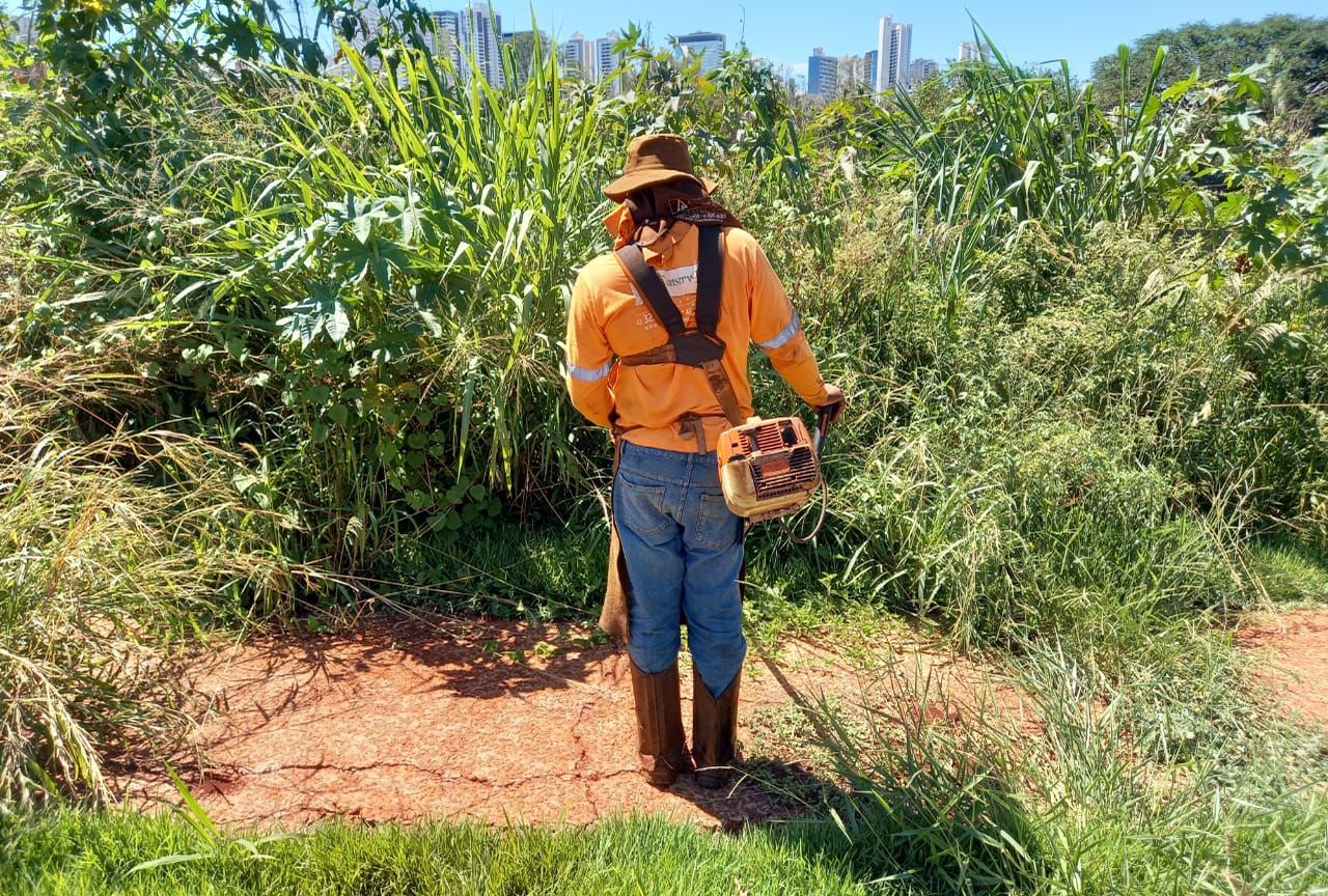 Limpeza de terrenos particulares ultrapassa 230 áreas atendidas em 2022 Limpeza de terrenos particulares ultrapassa 230 áreas atendidas em 2022