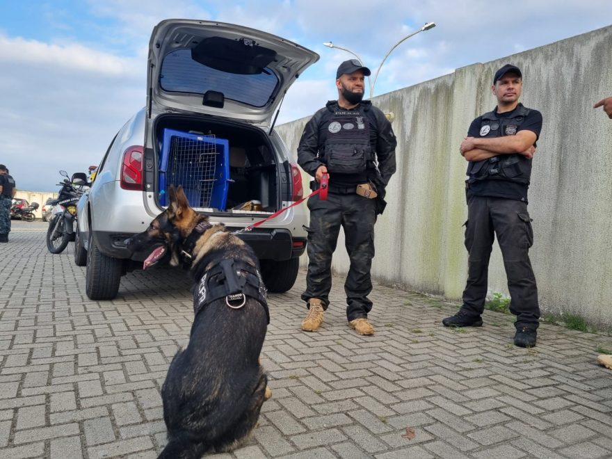 PCPR deflagra operação contra tráfico de drogas no Litoral do Estado