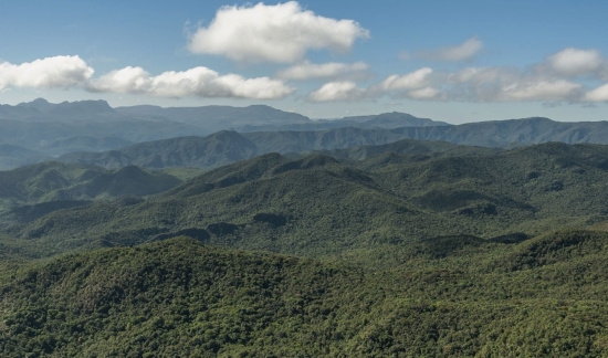 Agropecuarista deve pagar multa de R$ 511 mil por desmatamento de vegetação de Mata Atlântica
