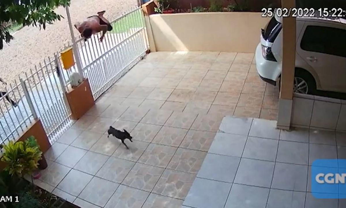 Imagens impressionantes: Câmeras de segurança flagram homicídio em Realeza