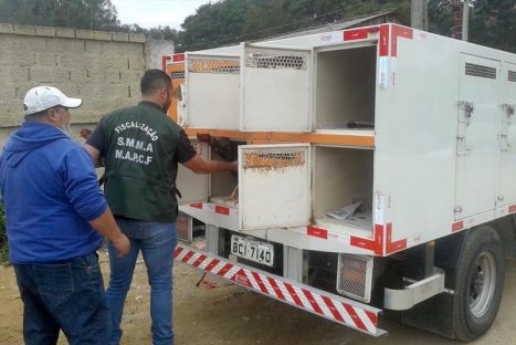 Curitiba – Rede de Proteção Animal é destaque em prêmio nacional Imagem referente a Curitiba – Rede de Proteção Animal é destaque em prêmio nacional