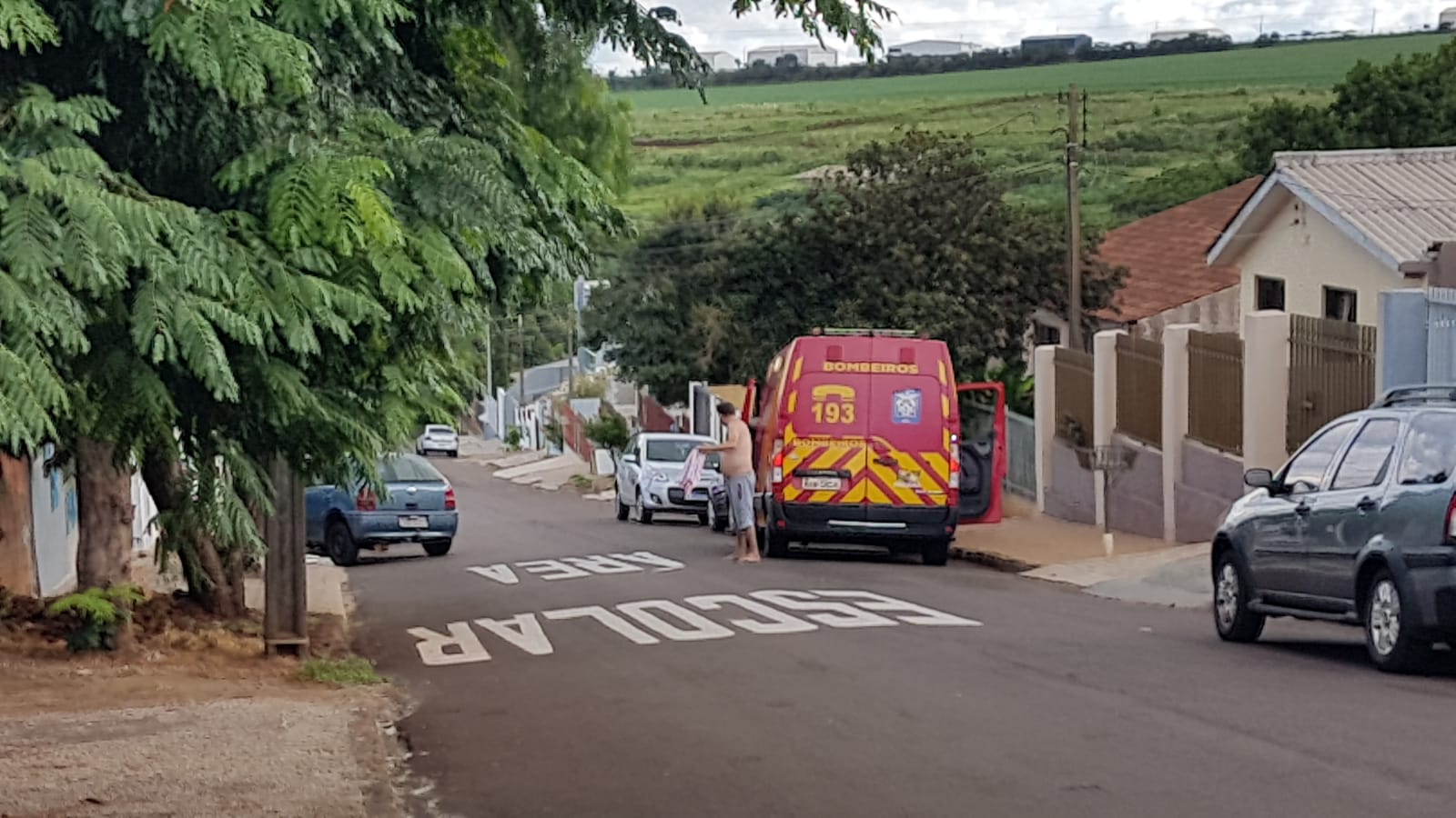 Idoso bate carro contra árvore; viaturas da Polícia foram acionadas