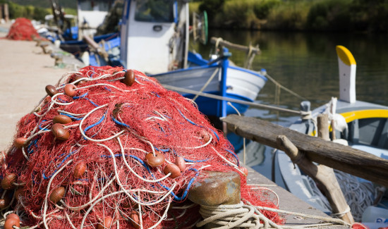 TRF4 determina que União proíba pesca da tainha com redes de emalhe anilhado