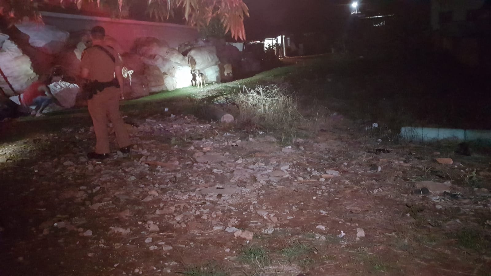 Cachorro dá trabalho para Corpo de Bombeiros e PM no Pioneiros Catarinenses