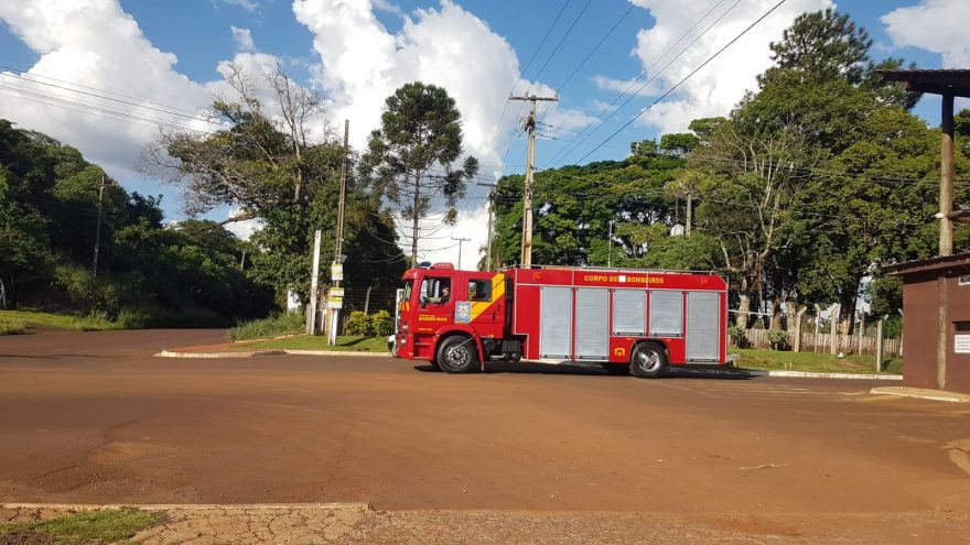 Siate é acionado para captura de animal