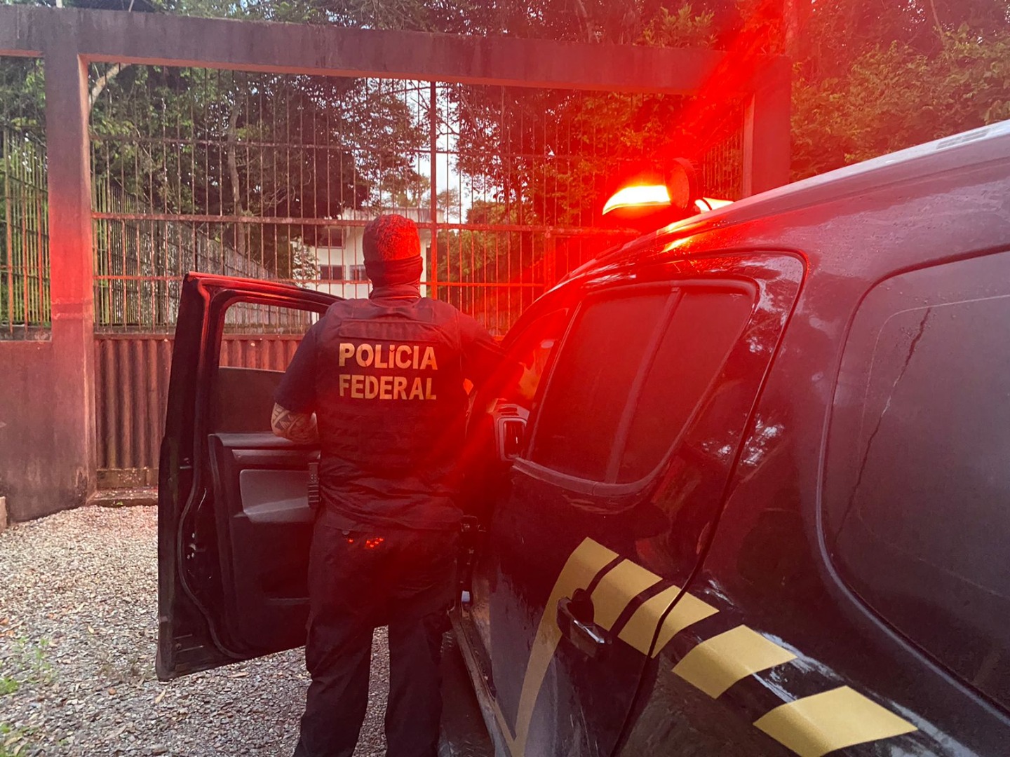 Operação Pavão Misterioso combate crimes de extração ilegal de madeira, uso de documentos falsos e obstrução de justiça