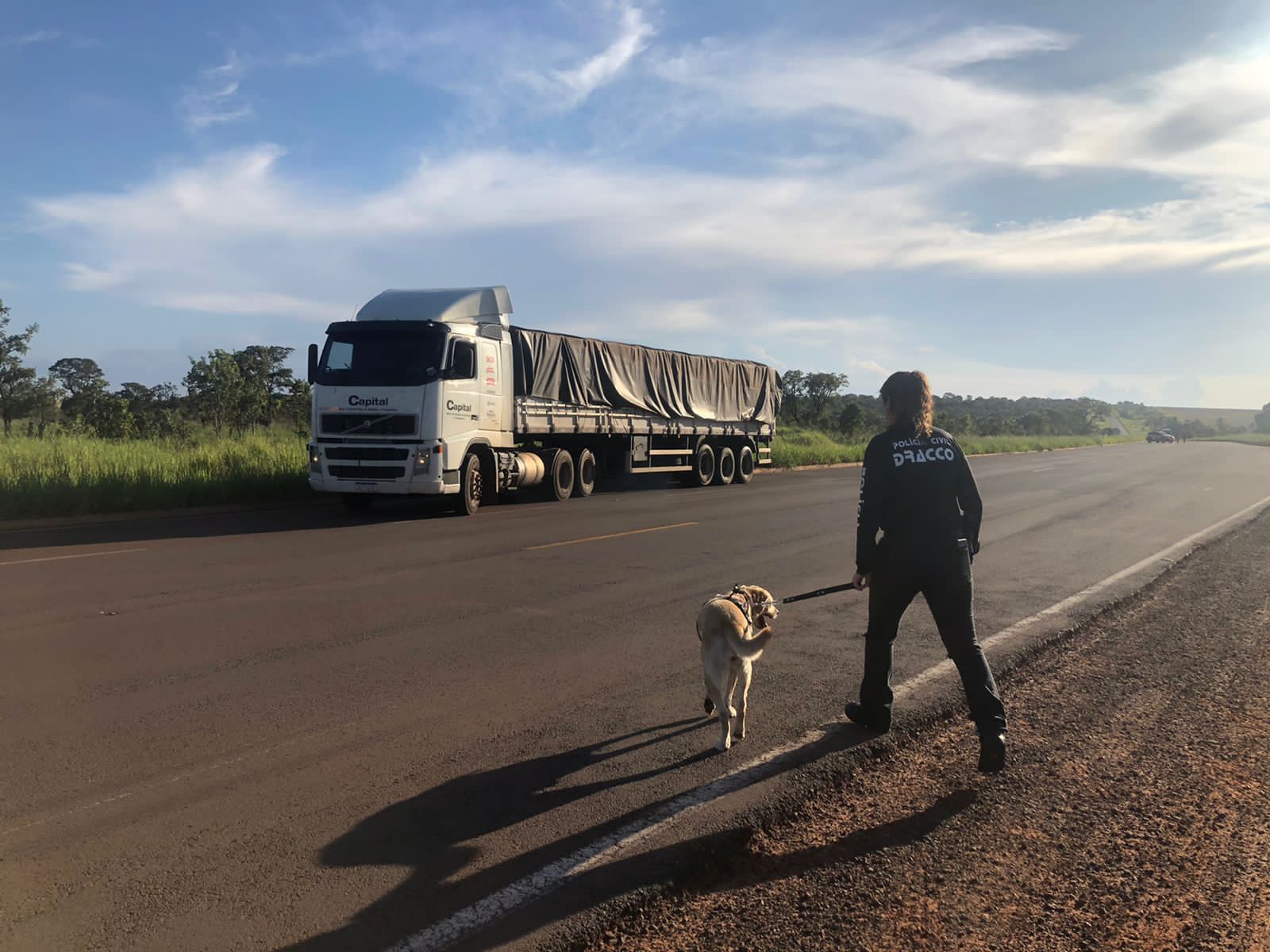 Polícia Civil acaba de apreender grande quantidade de cocaína na Rodovia MS-040