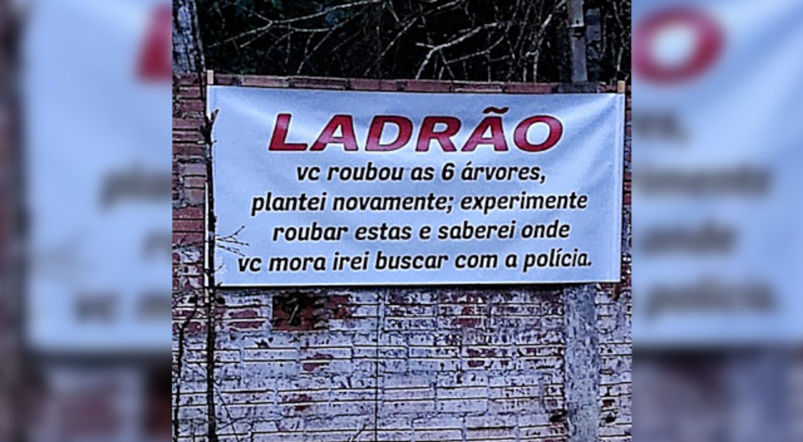 É verdade esse ‘bilete’: Morador deixa recado para quem furtou seis árvores na Colônia Barreiro