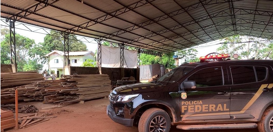 Polícia Federal combate desmatamento e extração ilegal de madeira em terra indígena no Tocantins