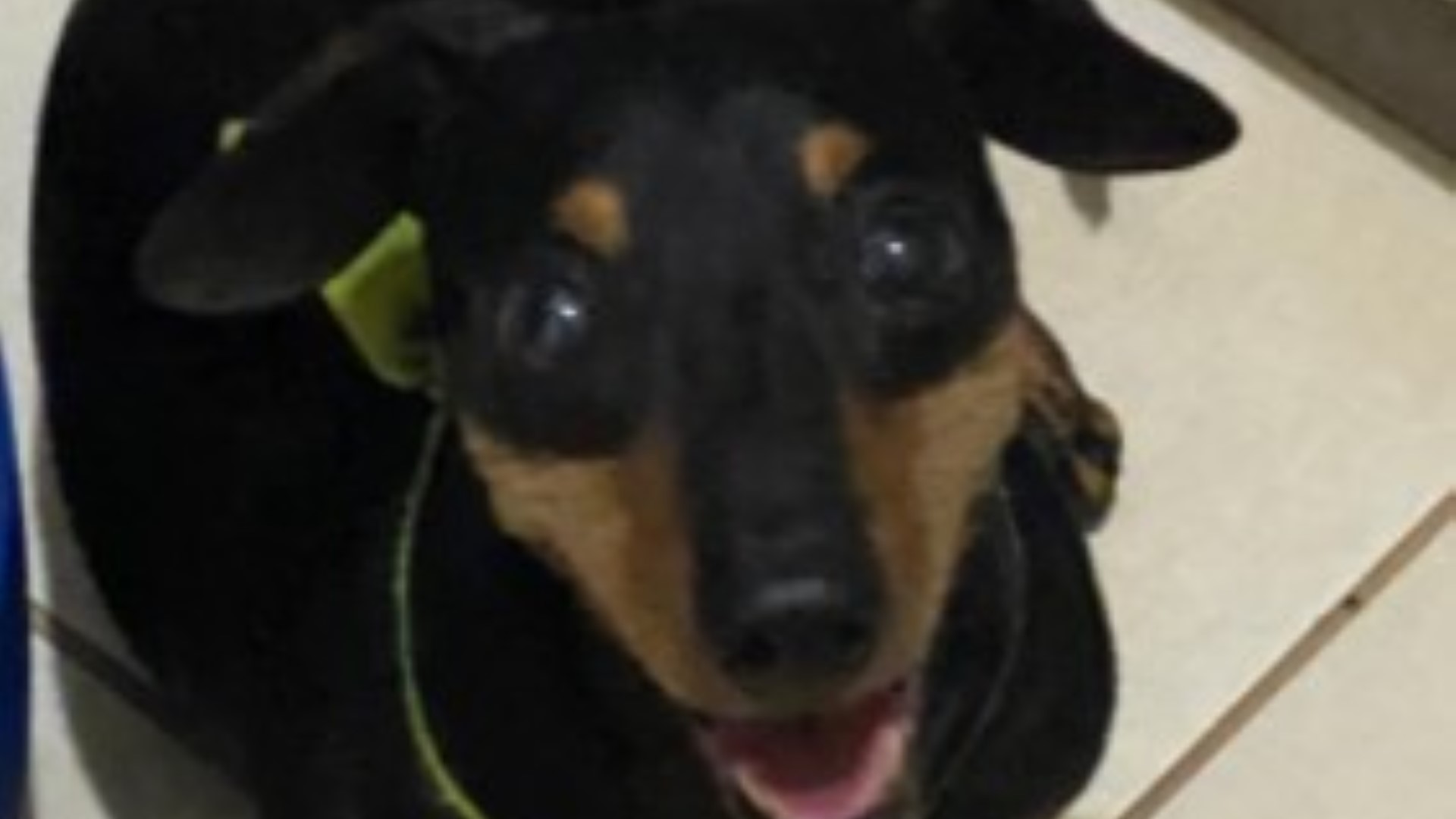 Cofap perdido é encontrado Cofap perdido é encontrado