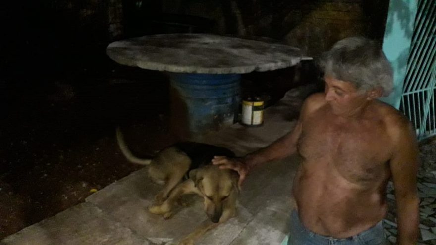 Cachorra de rua tem nove filhotes em casa de morador; homem faz doação dos cachorrinhos