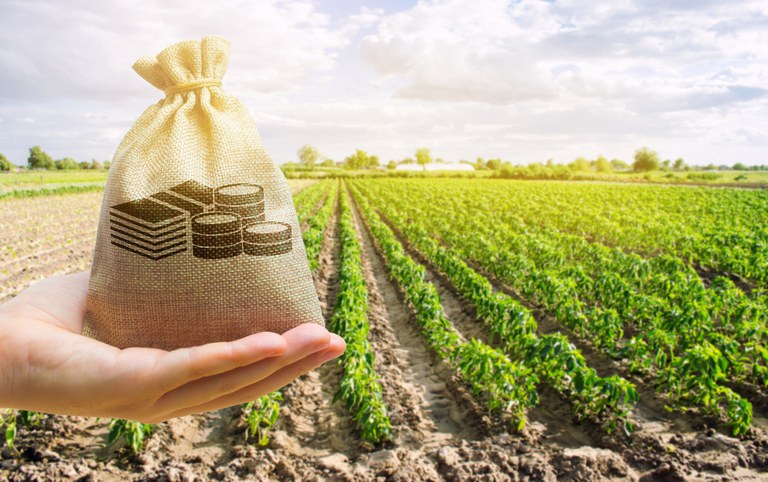Desembolso do crédito rural soma R$ 188 bilhões em oito meses do Plano Safra