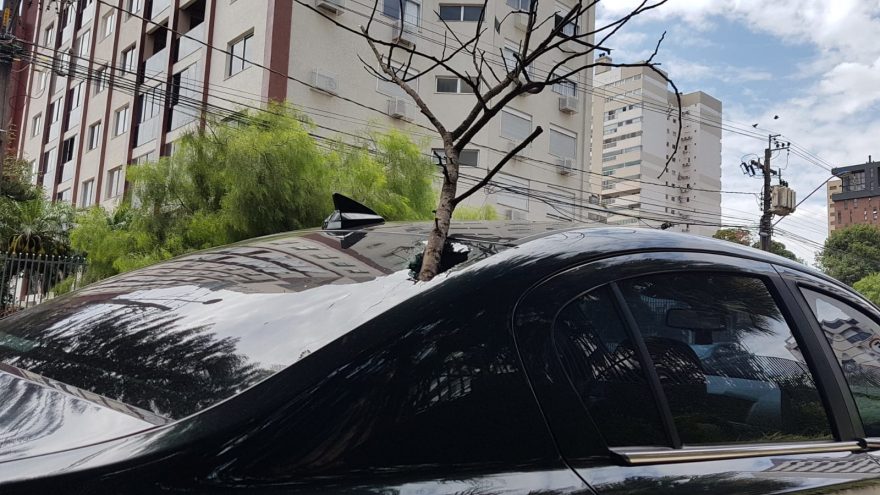 Galho seco quebra e caiu em cima de para-brisas de veículo no Centro