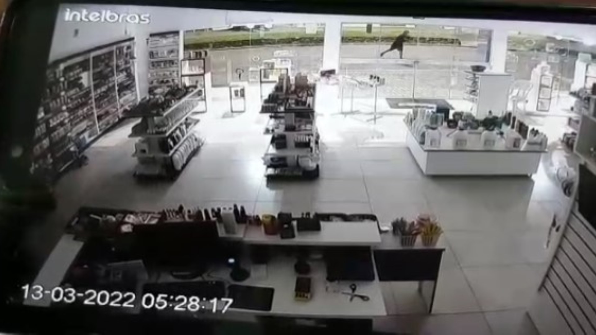 Veja momento exato em que ladrão quebra porta de vidro e furta produtos da loja