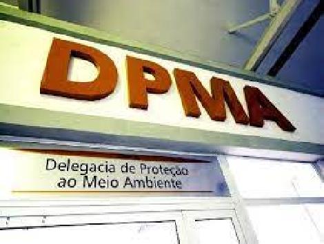 Delegacia de Proteção ao Meio Ambiente prende dono de restaurante na Ilha da Gigóia