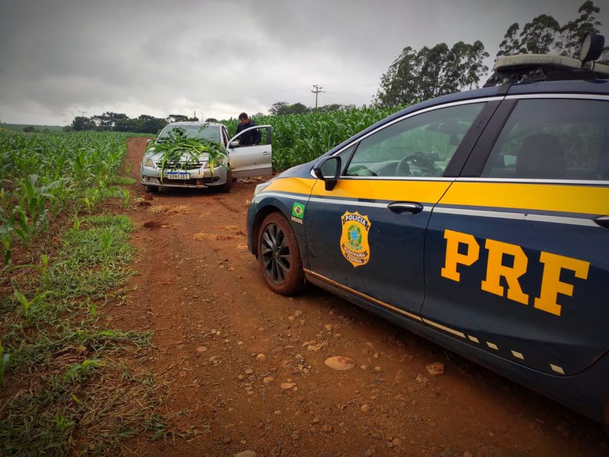 Contrabandista arremessa o carro em meio a plantação para fugir da PRF