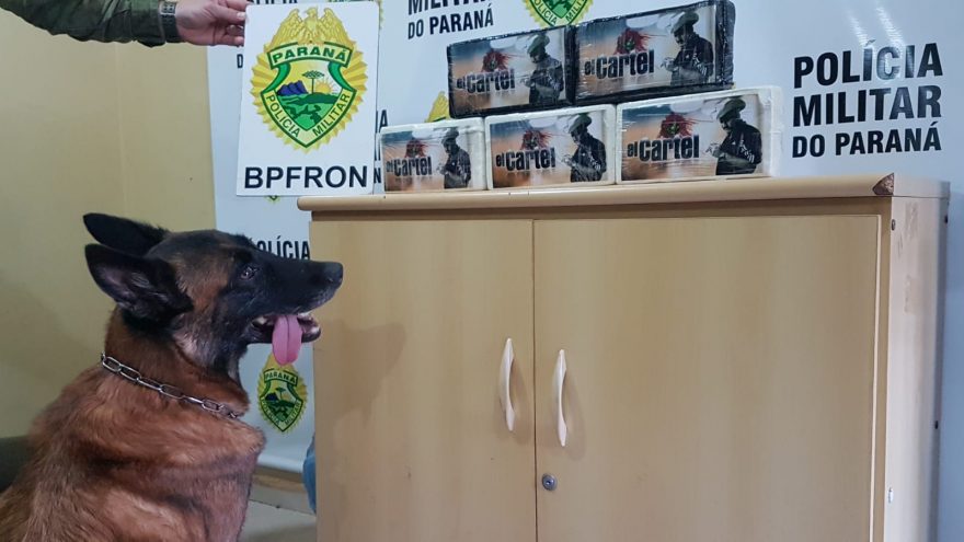 Cocaína apreendida pelo BPFron, em Cascavel, totalizou 5,395 kg