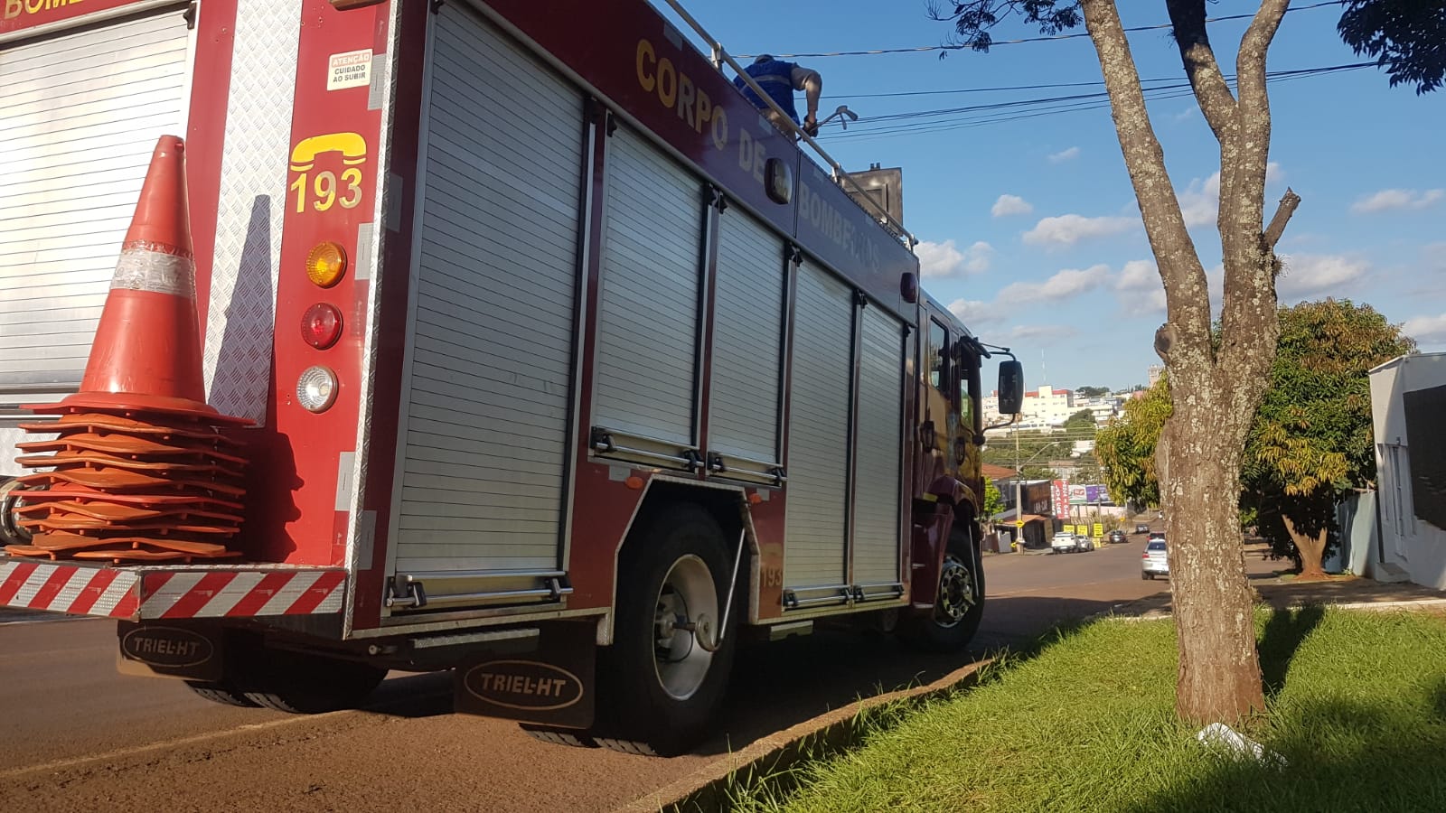 Corpo de Bombeiros é acionado para recolher gambá