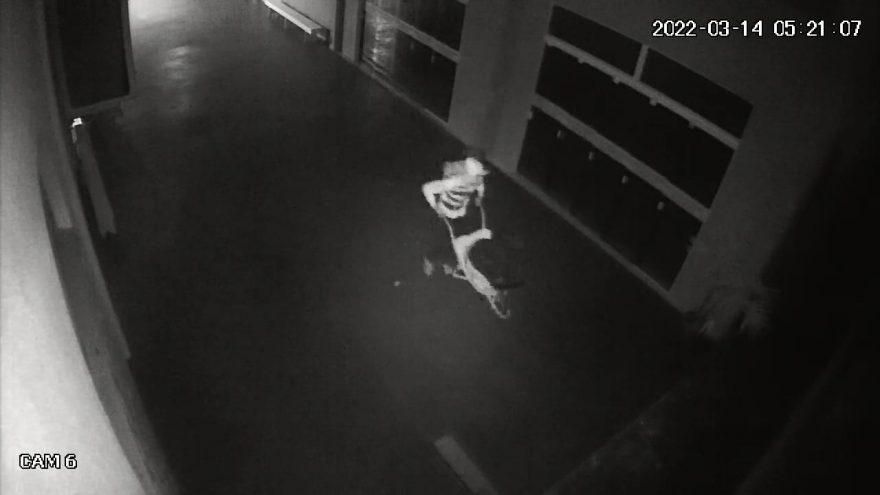 Igreja Católica é furtada em Cascavel; veja imagens