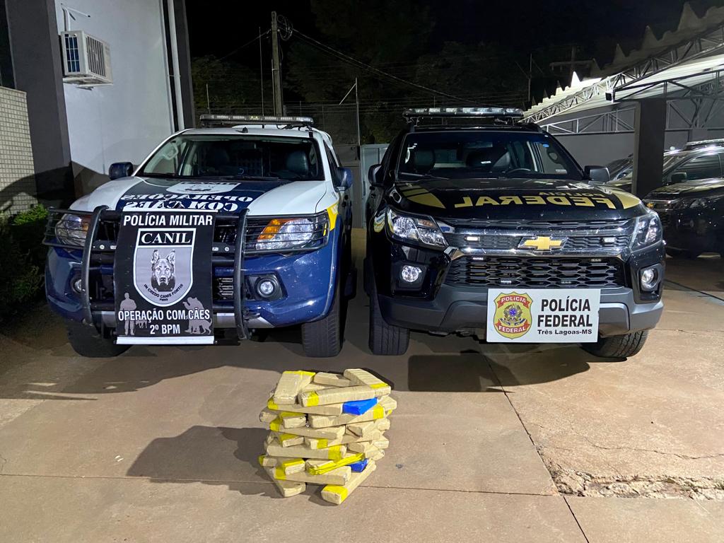 PF e PM apreendem 25 kg de maconha em Três Lagoas/MS