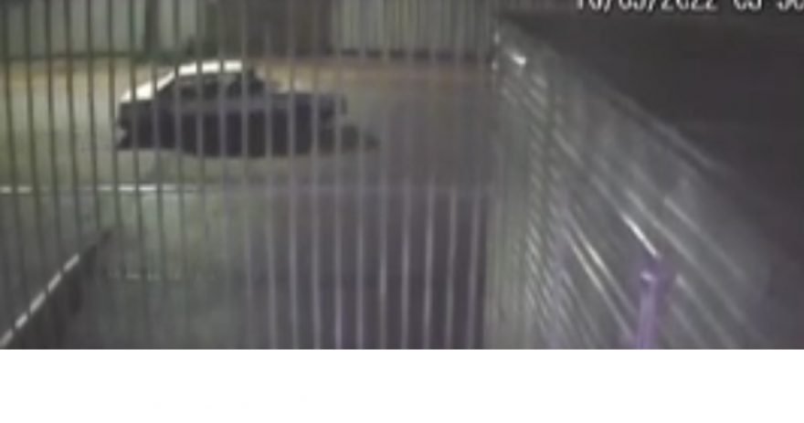 Vídeo mostra ação de ladrões durante furto em mecânica no São Cristóvão