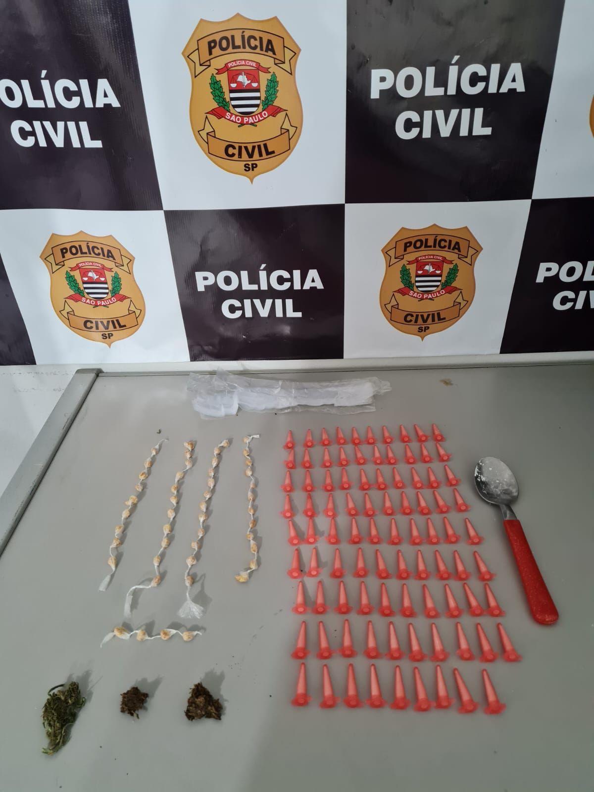 Polícia Civil de São Manuel apreende jovem por tráfico de drogas