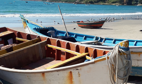 TRF4 suspende pedido de provas a pescadores do Costão do Santinho (SC)