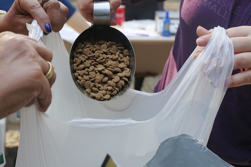 Diretoria de Bem-Estar Animal de Foz realiza distribuição emergencial de ração para cães e gatos