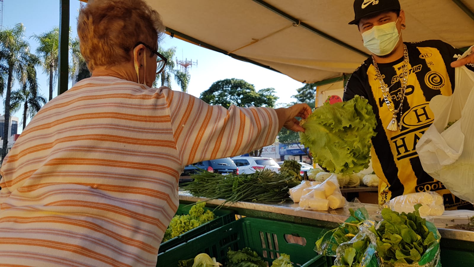 Feira do Produtor é atrativo neste domingo na Praça Wilson Joffre
