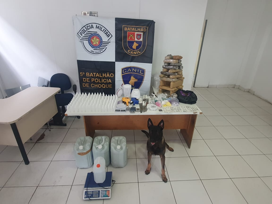 Operação Hércules detém 88 criminosos e recupera mais de 380 veículos no Estado