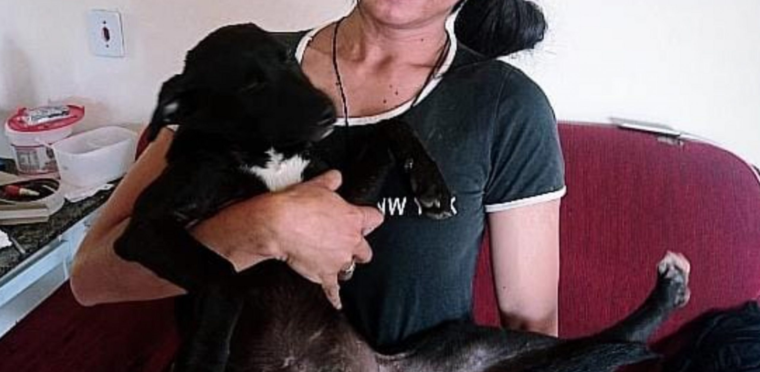 Cachorrinha fugiu no bairro Santo Onofre